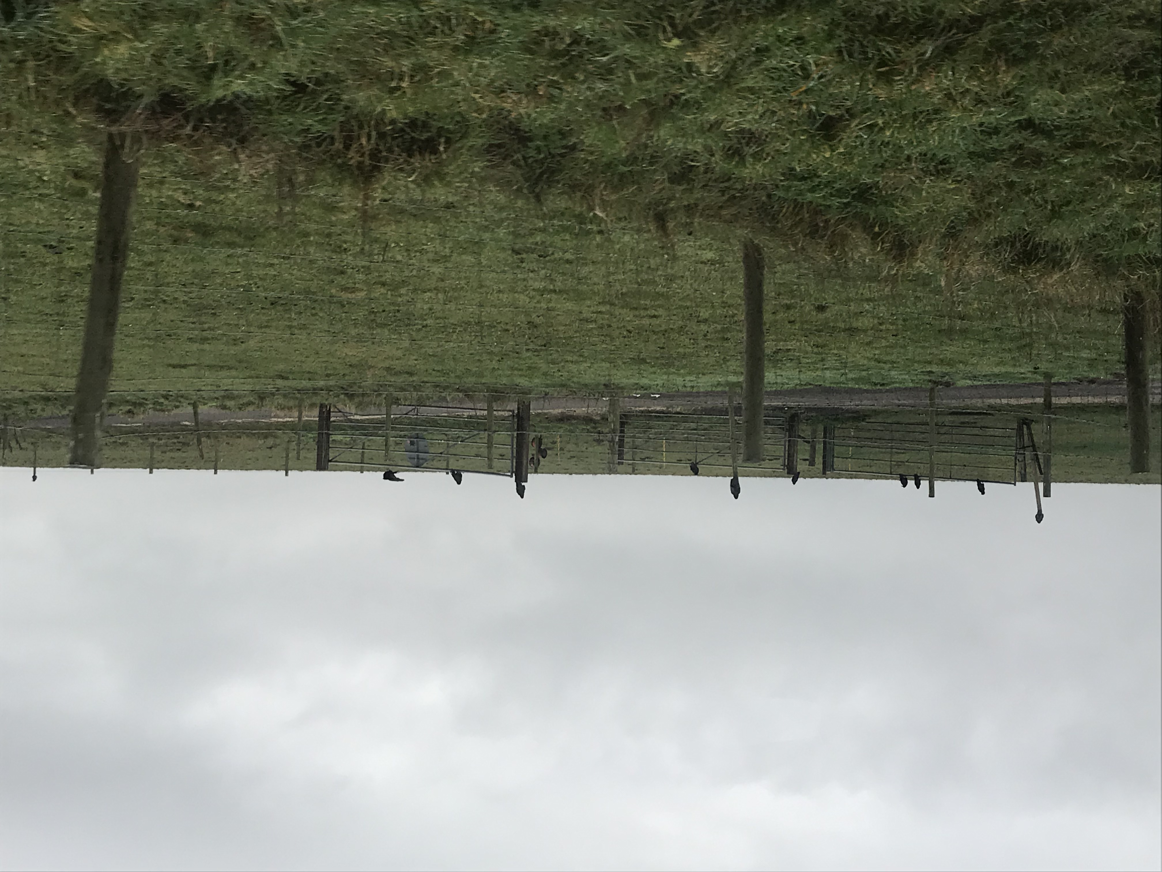 ./2018/15 - London/04 - Day 4/IMG_9273.jpg